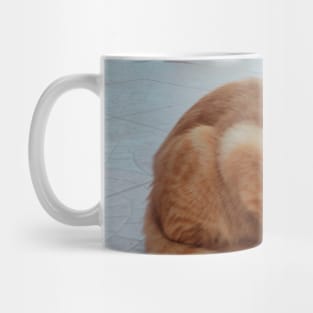 Pretty Siamese Egyptian Red Cat Photography for cat lovers and cat addicts Mug